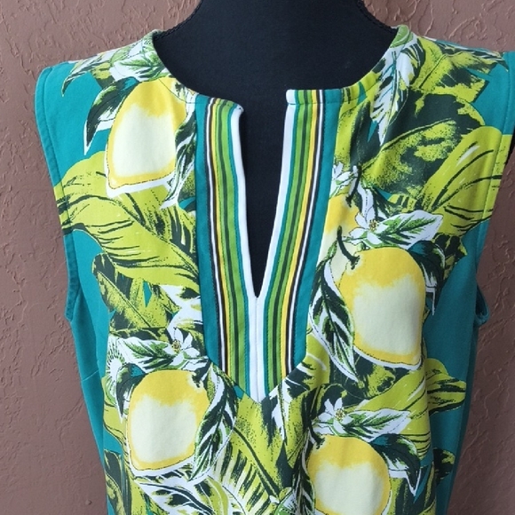 New York & Company Green & Yellow Sleeveless Dress Lemons And Kiwis Size XL - Picture 5 of 7
